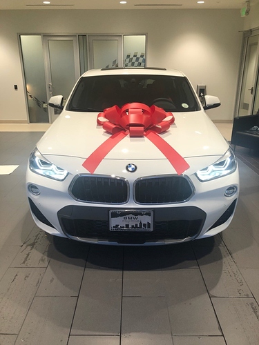 BMW%204%20(bow)