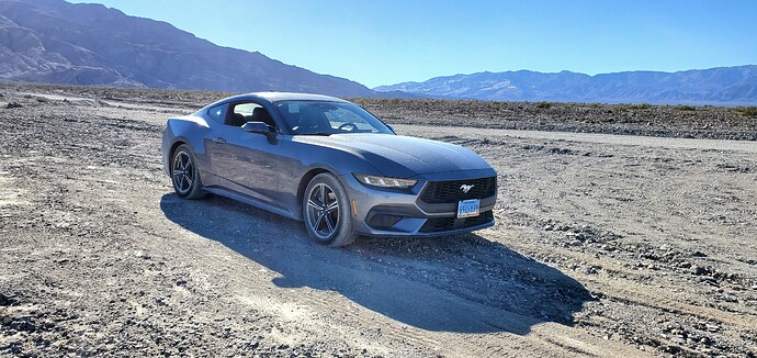 Stang2