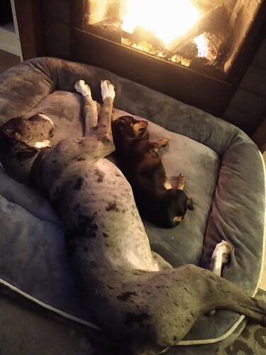 IMG_20220311_202043365