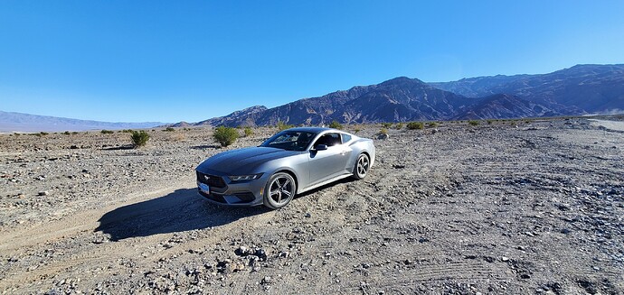Stang1