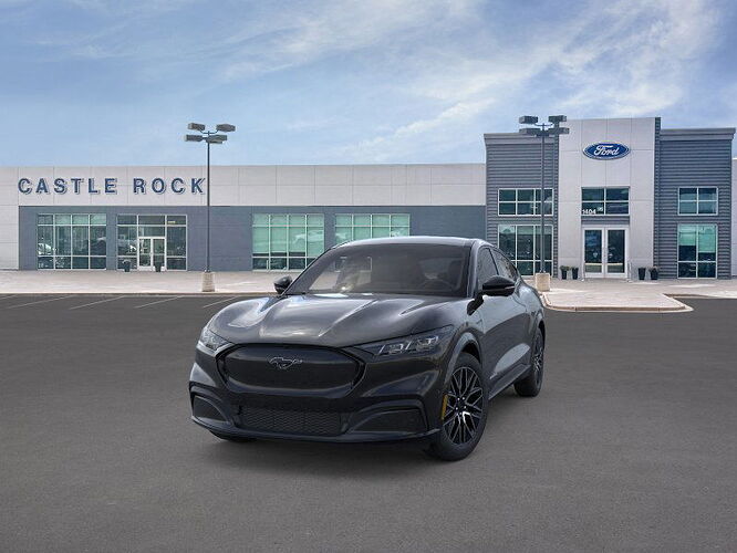 dealer mache photo