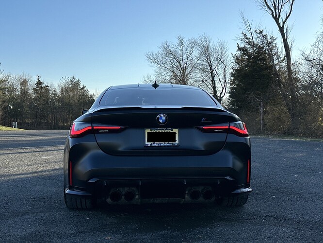 back