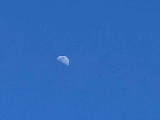 IMG_4546