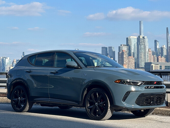 hornet