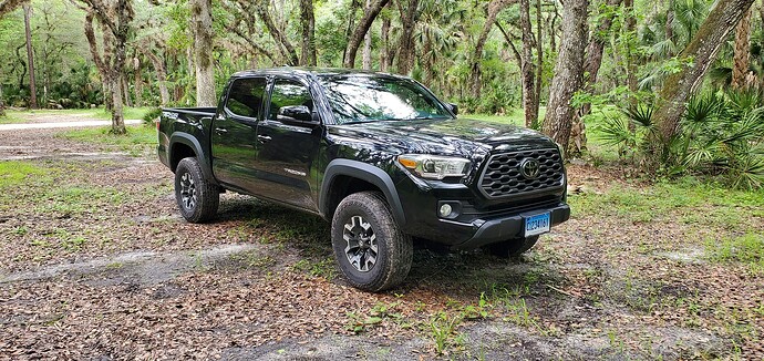 Taco